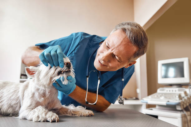 Best Emergency Tooth Extraction in Watonga, OK